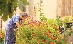 Vườn hoa nhỏ đong đầy ý nghĩa