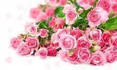 Sau 80 năm nghiên cứu: Đây là bí quyết hạnh phúc