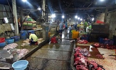 400 kg nội tạng bò ngâm hóa chất tẩy trắng, làm cho giòn, đánh lừa vị giác thực khách