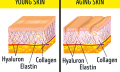 Tuyệt chiêu giúp da luôn mịn màng vừa đơn giản, hiệu quả và không tốn tiền