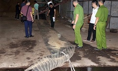 Bị cuốn vào máy ép viên một công nhân tử vong thương tâm