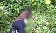 Nghi phạm giết mẹ già bệnh tật vì ngại chăm sóc đối diện với mức án nào?