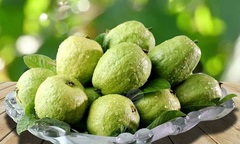 10 loại cây giải độc ai cũng nên thuộc nằm lòng phòng trường hợp nguy cấp trong gia đình