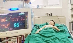 Bé trai 11 tuổi nguy kịch vì ong vò vẽ đốt hơn 100 nốt