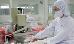 Thực hiện chiến lược quốc gia phát triển ngành Dược Việt Nam giai đoạn đến năm 2020 và tầm nhìn đến năm 2030