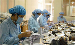 Xây dựng kế hoạch và báo cáo tình hình triển khai thực hiện Chiến lược quốc gia phát triển ngành Dược Việt Nam giai đoạn đến năm 2020 và tầm nhìn đến năm 2030