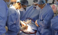 Bệnh nhân thay van tim theo phương pháp Ozaki: Không phải uống thuốc chống đông cả đời