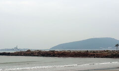 Thanh Hóa: Công ty Văn Hoa lấn biển trái phép, chính quyền nói gì?