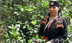 Khỏi bệnh xương khớp nhờ  "liệu trình liên hoàn "