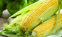 Công dụng hạn chế nhiều loại bệnh của ngô ngọt ít người biết tới