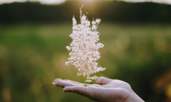 Tuyệt chiêu đối phó với những kẻ  "đạo đức giả "