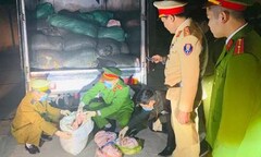 Thanh Hóa: 1,7 tấn bì lợn không rõ nguồn gốc bị bắt giữ