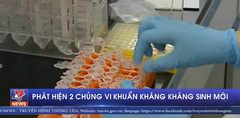 Phát hiện 2 chủng vi khuẩn kháng kháng sinh mới