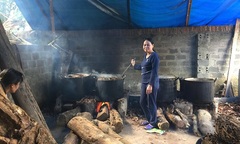  "Thần y " vang danh cả nước “luyện cao lá” chữa dứt điểm bệnh xương khớp 