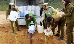 Hãi hùng nước lã + phẩm màu + cồn công nghiệp = 2.080 lít rượu ngô bao tử