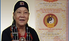 “Thần y” phát huy công dụng loài cây cỏ trên rừng sâu chữa bệnh yếu sinh lý