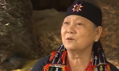 Kỳ diệu thảo dược rừng phát huy “4 giai đoạn xung huyết” chữa bệnh yếu sinh lý yếu