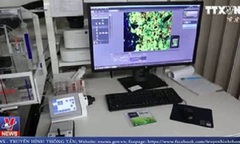 Phát hiện mới trong điều trị di căn ung thư