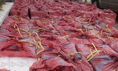 An Giang: Phát hiện xe chở thuốc lá lậu số lượng lớn