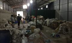 Thảo dược chữa tận gốc bệnh tiểu đường, không gây biến chứng