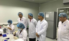 8 trung tâm xét nghiệm miễn phí dịch tả lợn châu Phi