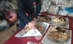 Bí ẩn thảo dược kích thích tuyến yên tiết tố chất giúp người bệnh có giấc ngủ bình yên