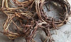 Vị thuốc bổ gan, thận giải độc giúp người yếu sinh lý “yêu” như xưa chỉ sau một tuần