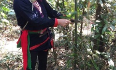 Người đàn bà không phải cưa chân nhờ  "thần y " số một làng nghề thuốc nam