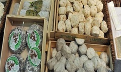 Pho mát nhập khẩu từ Pháp nhiễm E.coli bị yêu cầu thu hồi