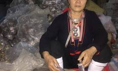 Bí ẩn loại thảo dược được mệnh danh “kẻ thải độc” cứu vạn người bị tiểu đường