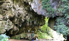 Có hay không dự án lớn miền núi sẽ phá hàng trăm hecta rừng tự nhiên ở Quảng Nam?