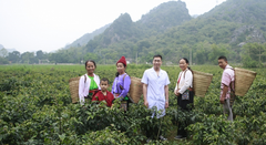 Lương y Hoàng Văn Tuấn: Kho thuốc sống của dân tộc Mường Hoà Bình