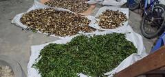 Săn lùng bài thuốc quý đưa bệnh nhân thoát khỏi “bản án” của căn bệnh dạ dày, đại tràng
