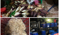 TP HCM: Ngó sen, hoa chuối ngâm tẩm hóa chất độc hại, chờ ra thị trường