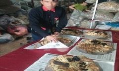 Công bố công thức “hợp nhất tam thảo” đẩy lùi bệnh tật giúp giấc ngủ tìm đến cực nhanh  