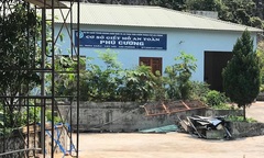 Hải Phòng: Độc quyền lò mổ và  "liên minh ma quỷ " thị trường lợn thịt tại Cát Bà...?