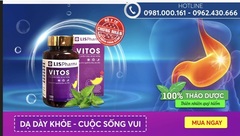 Giảm trào ngược dạ dày, đau dạ dày tái phát nhờ VITOS