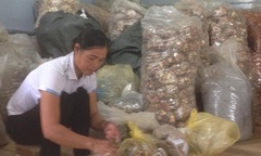 Câu chuyện đánh tan căn bệnh đau khớp cho ngàn người