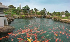 Trung tâm Thương mại và Du lịch Dũng Tân: Điểm đến lý tưởng trong kỳ nghỉ lễ 30/4 và 01/5