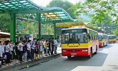 Chuyện xe bus và  "bác sĩ kê đơn "