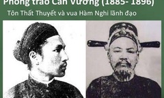 Phong trào Cần Vương ở trấn Sơn Nam và vị tán tương quân vụ Nguyễn Tử Ngôn