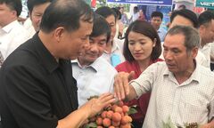 Hải Dương khai mạc ngày hội vải thiều Thanh Hà năm 2019