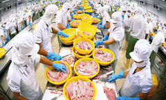 Hơn 200 doanh nghiệp bàn kế đưa mặt hàng nông thủy sản vào thị trường Trung Quốc