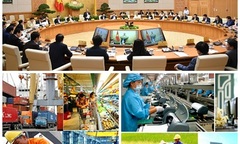 Chỉ đạo, điều hành của Chính phủ, Thủ tướng Chính phủ nổi bật tuần từ 3-7/6/2019