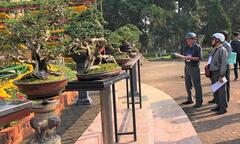 Quảng Ngãi: Phát huy vai trò của Sinh Vật Cảnh trong xây dựng Nông thôn mới và Đô thị văn minh