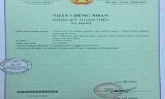 Cần xem xét lại kết luận giám định của Viện Khoa học Sở hữu trí tuệ