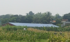 Xã Minh Quang: Cần xử lý dứt điểm tình trạng xâm lấn ruộng công