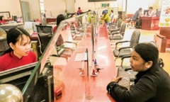 Agribank tiếp sức cho tỷ phú nhà nông 