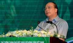 Tăng cường đầu tư vào nông nghiệp hiệu quả, an toàn và bền vững