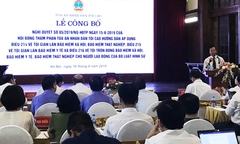 Hướng dẫn áp dụng xử lý tội phạm về BHXH, BHYT trong Bộ luật Hình sự